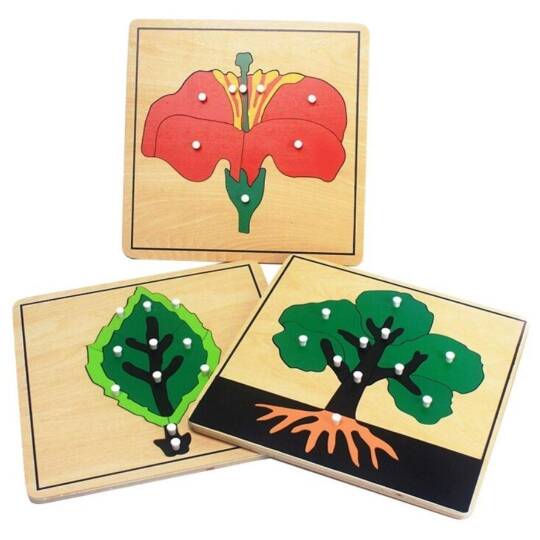 Biyoloji Puzzle Set 18’li