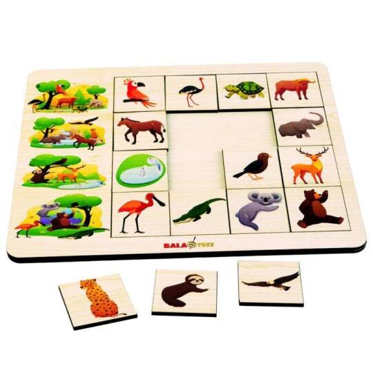 Kodlamaya Giriş İlişkiler Doğa  Puzzle