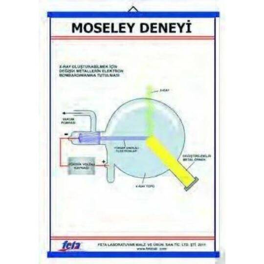 Moseley Deneyi Levhası (70X100 Cm)