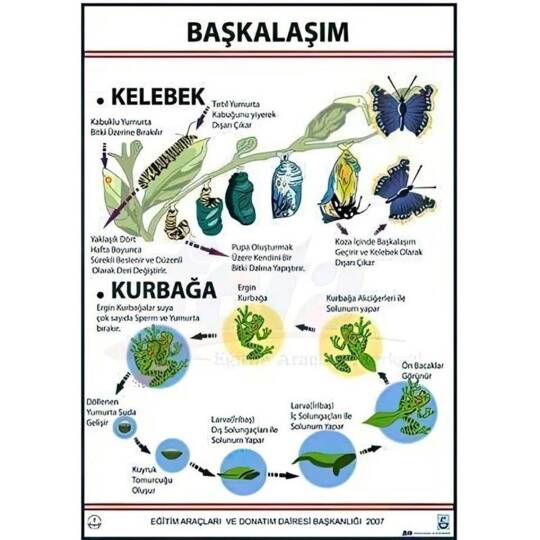 Oscar Başkalaşım Levhası