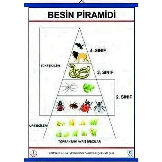 Oscar Besin Pramidi