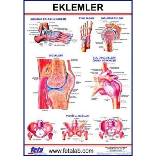 Oscar Eklem Levhası