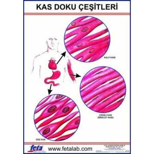 Oscar Kas Doku Eğitim Plakası