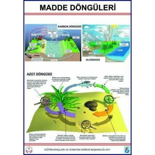 Oscar Madde Döngüleri Lev.(Karbon, Azot Ve Su Döngüleri-70X100 Cm)